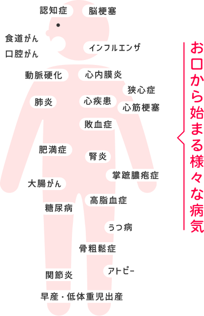 歯周病は放置をすると、様々な疾患の引き金になる可能性がある！